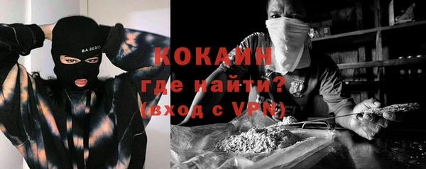 сатива Чита
