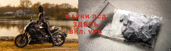 ПСИЛОЦИБИНОВЫЕ ГРИБЫ Абаза