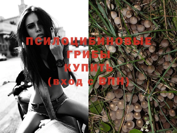 а пвп мука Абдулино