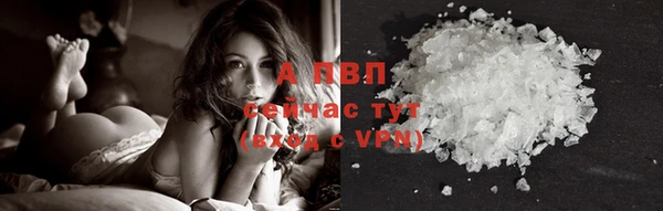 ПСИЛОЦИБИНОВЫЕ ГРИБЫ Абаза