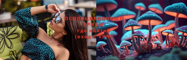 ешки Абинск