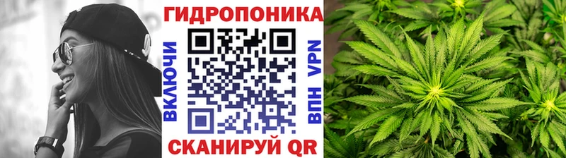 даркнет сайт  Сураж  Канабис сатива 